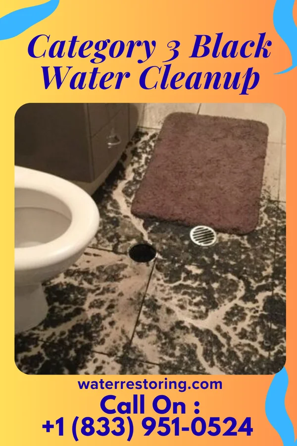 Category 3 Black Water Cleanup in Independence, IN