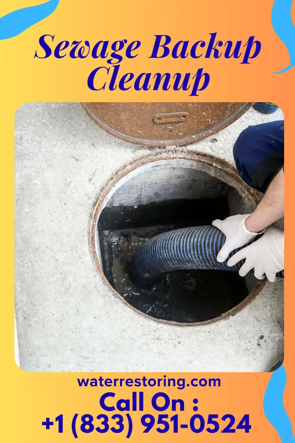 Sewage Backup Cleanup in Independence, IN